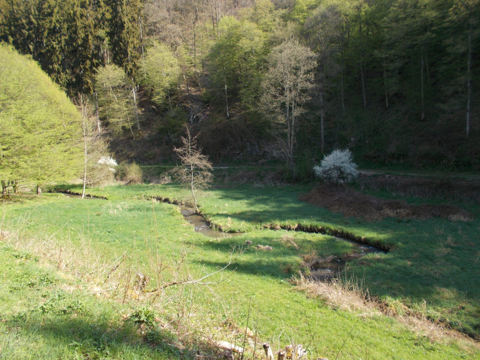 Ausblick auf das Wispertal