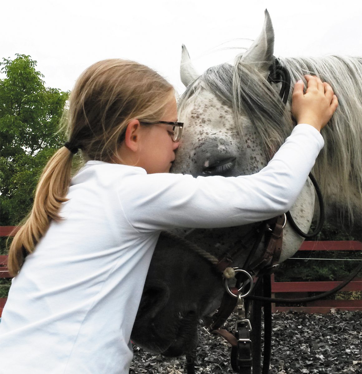 pferdegestützes Training, Kind, Pferd