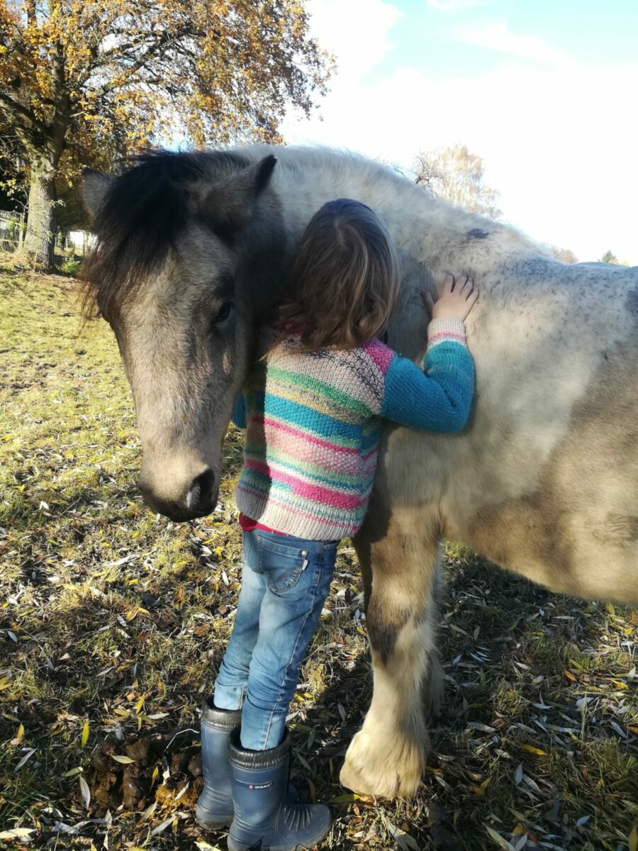 Kind Pony Natur