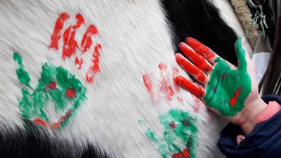 Mobile Reittherapie Begleitung mit dem Pferd