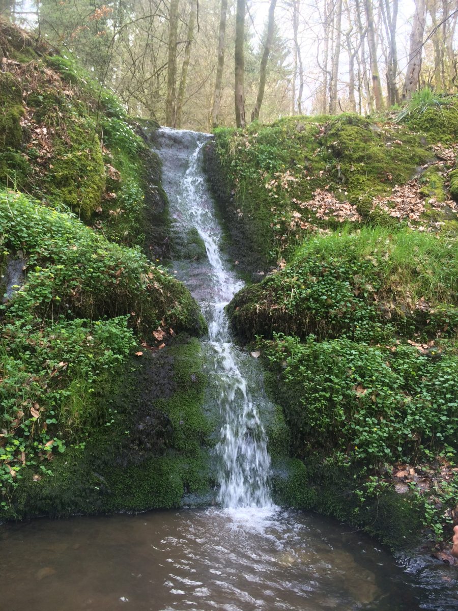 Wasserfall - Naurother Schweitz