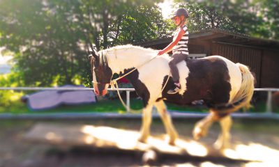 blur-fit-scale-reiten-ganzheitlich